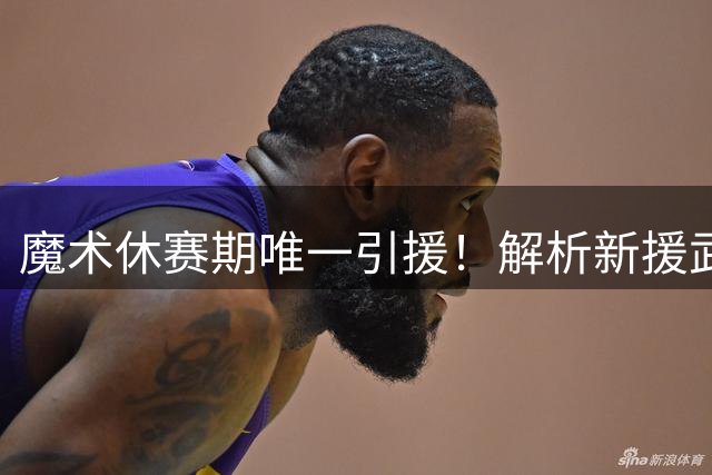 魔术休赛期唯一引援！解析新援武切维奇&后场核心贝恩